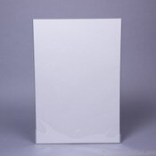 POLYESTER (Mylar) Sleeve for flat N